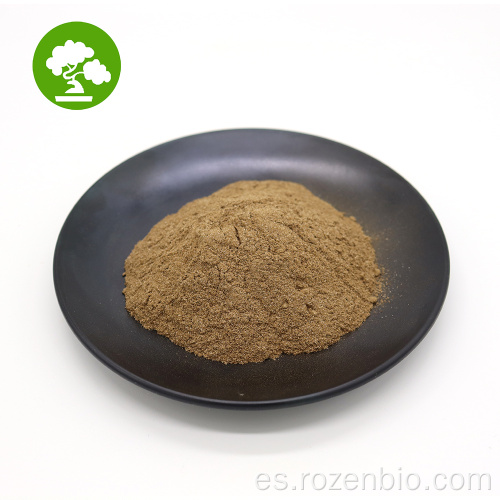 Extracto de Angelica Supply de fábrica/Angelica sinensis Extracto